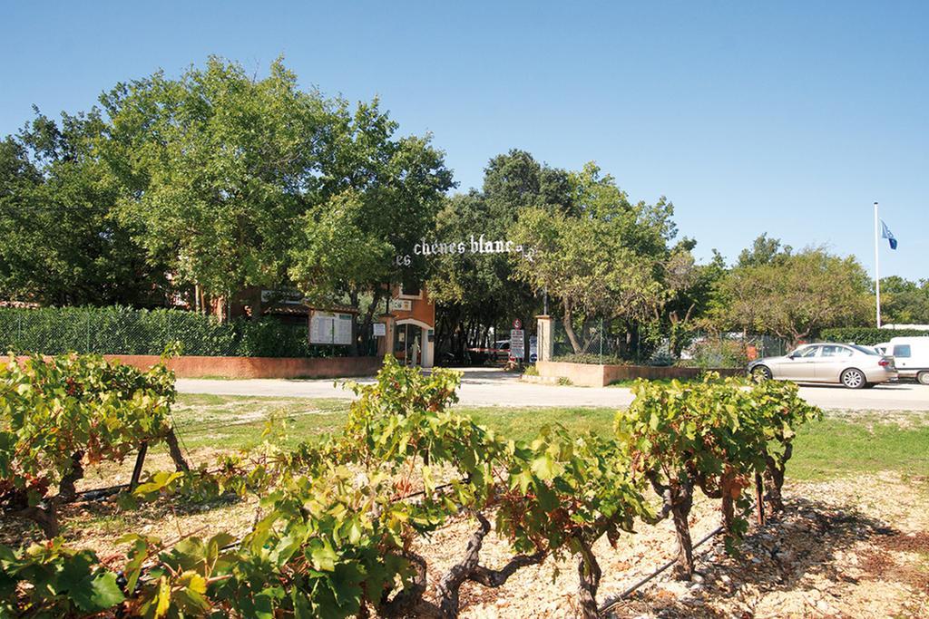 Domaine Les Chenes Blancs Hotel Saint-Saturnin-d'Apt Exterior foto